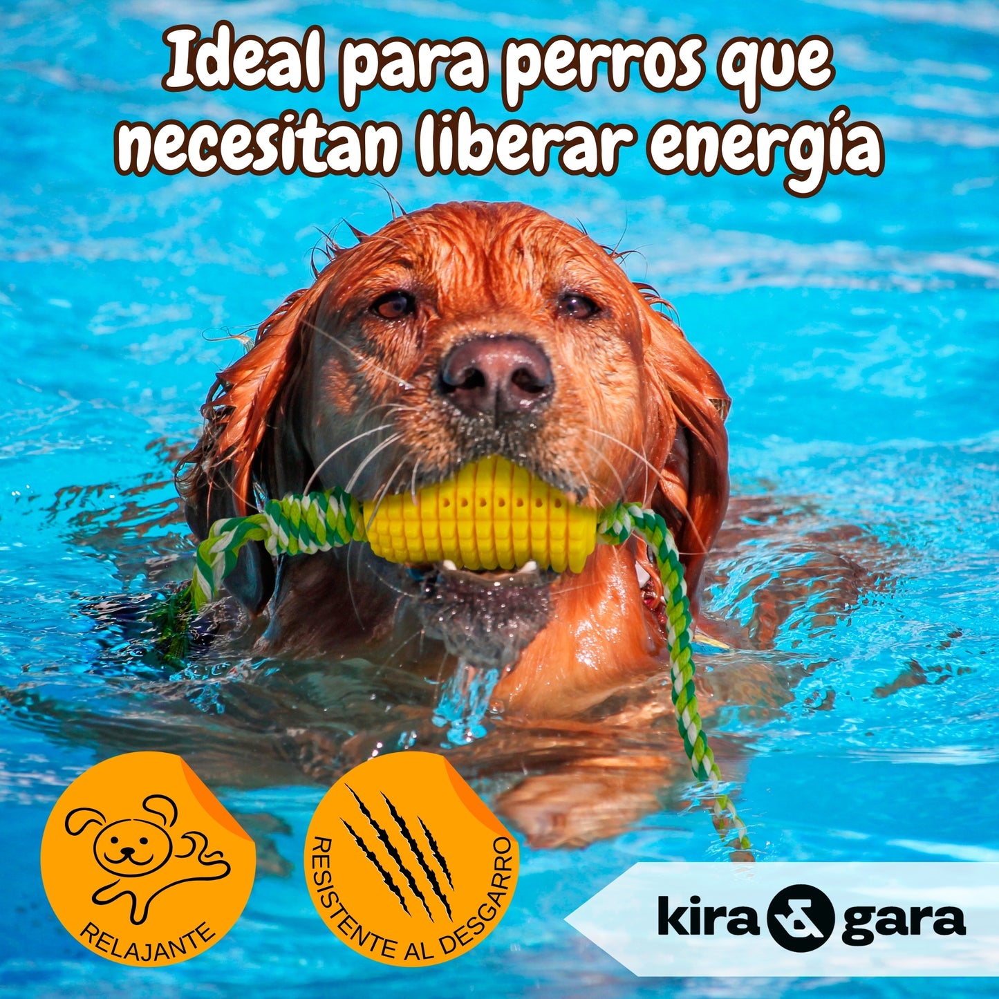 CornBrush - Juguete Perro Indestructible - Mordedor Perro - Juguete Limpiadientes - Juguete Antiestrés