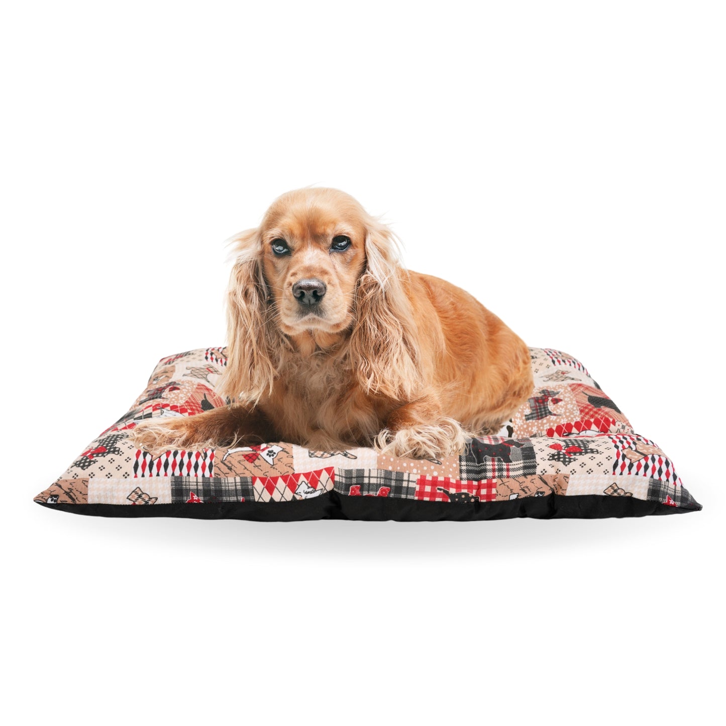 Cama para Perro - Colchoneta para Perro - Cojín Perro - Colchón Perro