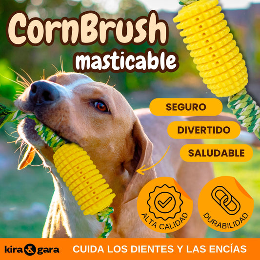 CornBrush - Juguete Perro Indestructible - Mordedor Perro - Juguete Limpiadientes - Juguete Antiestrés