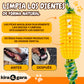 CornBrush - Juguete Perro Indestructible - Mordedor Perro - Juguete Limpiadientes - Juguete Antiestrés
